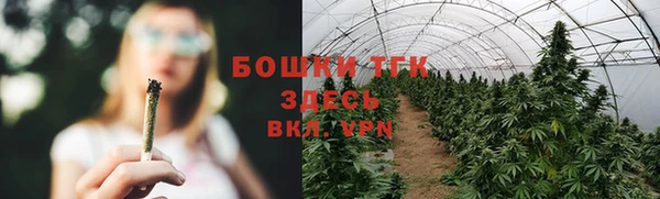 хмурый Покров