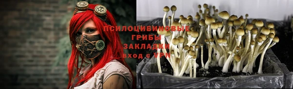 ALPHA PVP Протвино
