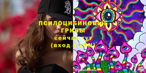 ешки Покровск