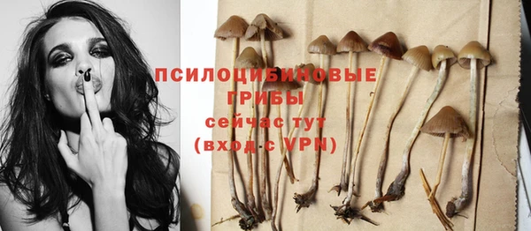 mdpv Себеж