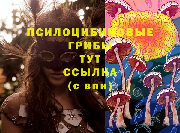 ешки Покровск