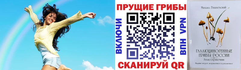 Псилоцибиновые грибы Psilocybe Советский